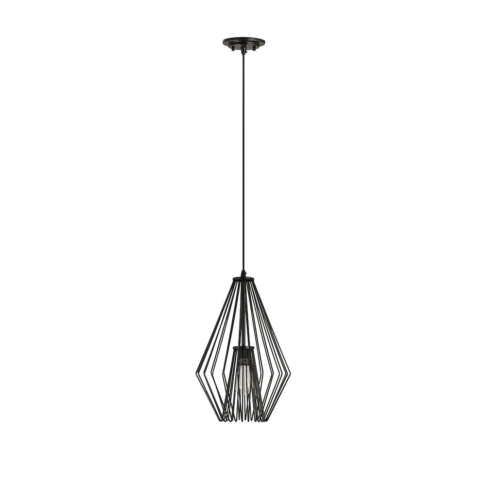 Z-Lite 1 Light Pendant