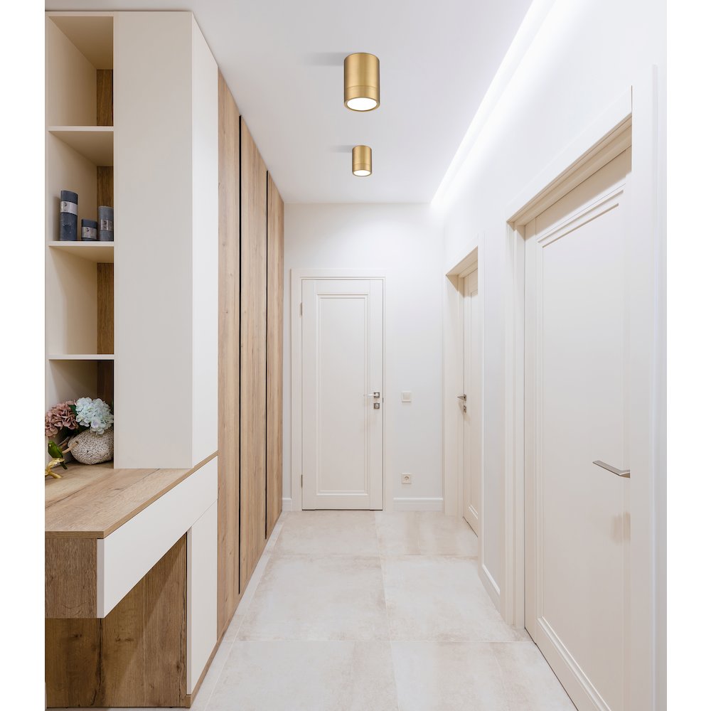 Z-Lite 1 Light Flush Mount