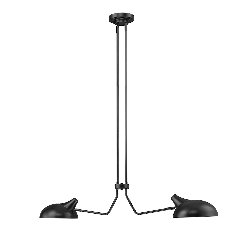 Z-Lite 2 Light Linear Chandelier