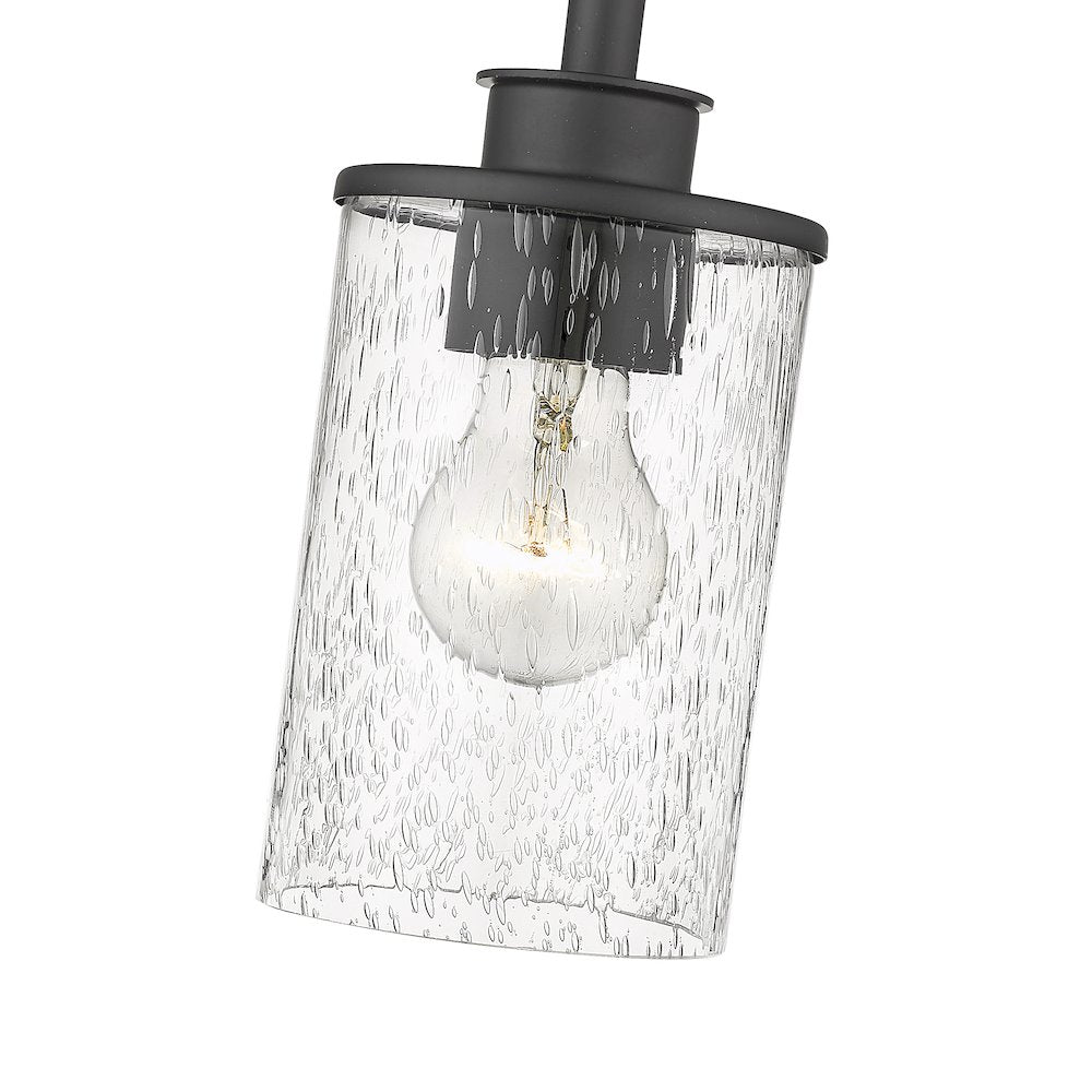 Z-Lite 1 Light Pendant