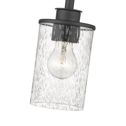 Z-Lite 1 Light Pendant