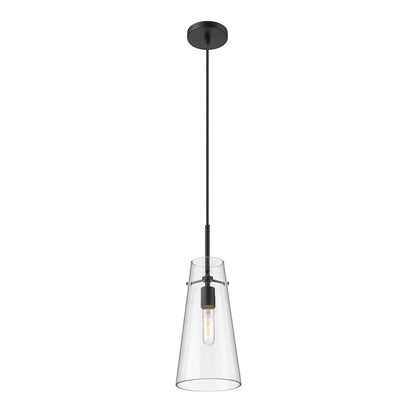 Z-Lite 1 Light Pendant
