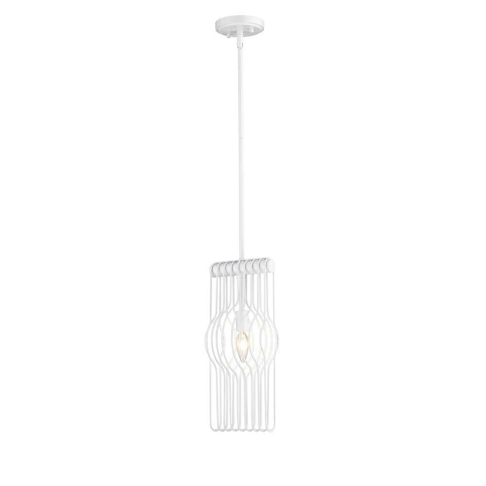 Z-Lite 1 Light Pendant
