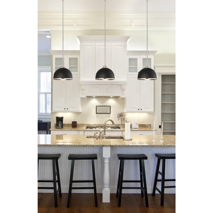 Z-Lite 1 Light Pendant