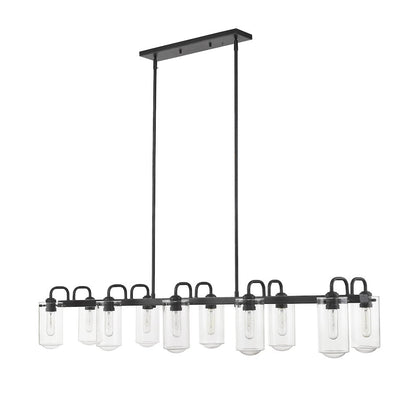 Z-Lite 10 Light Linear Chandelier