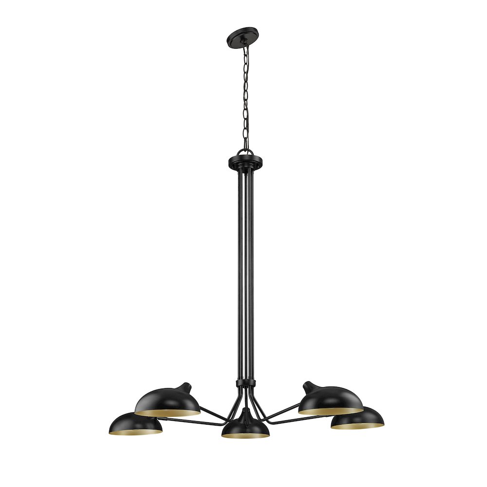 Z-Lite 5 Light Chandelier
