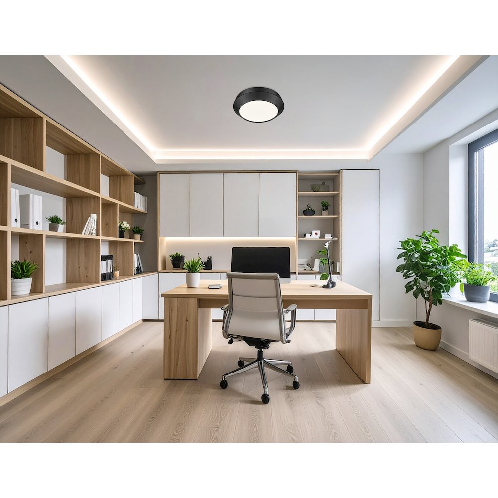Z-Lite 1 Light Flush Mount, Matte Black