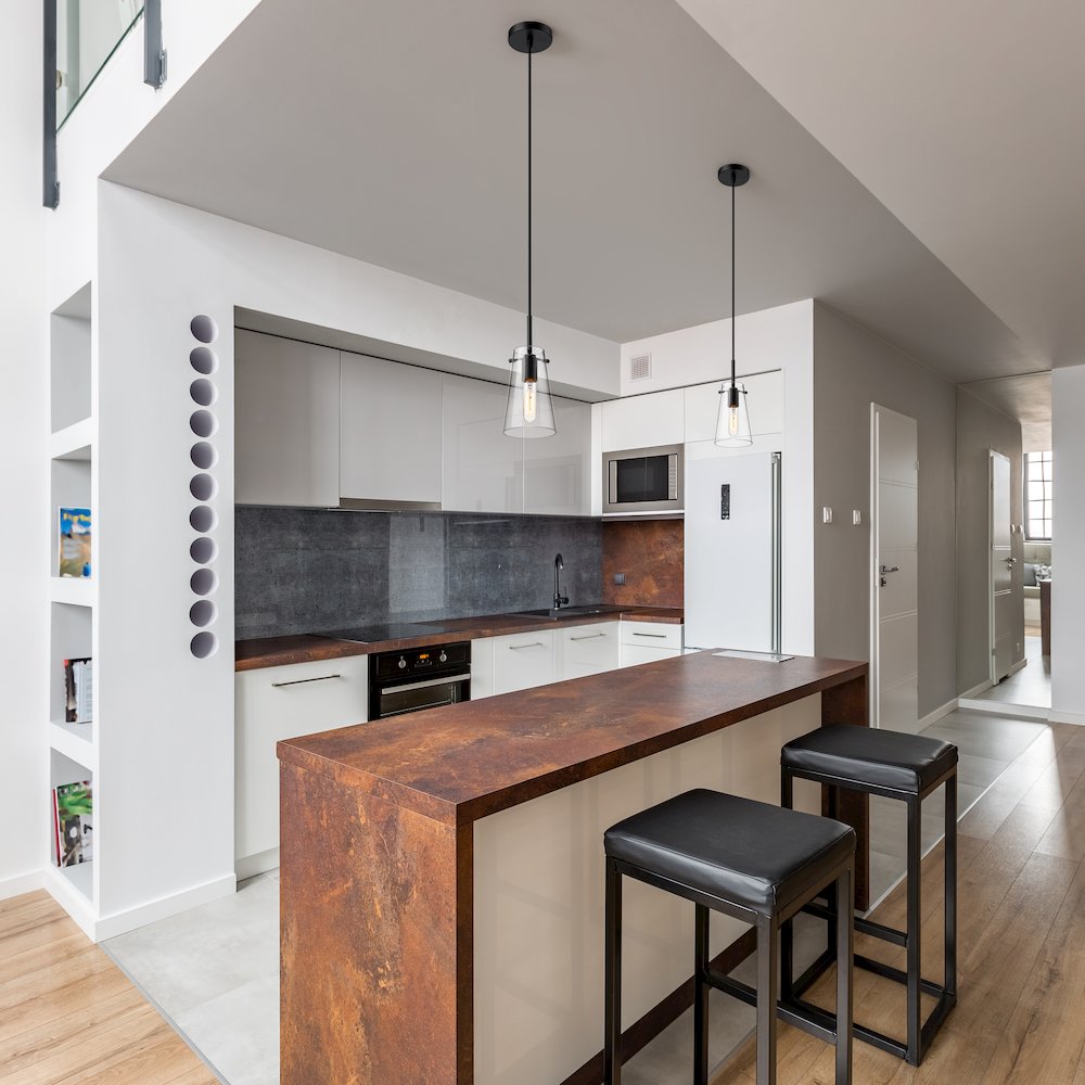 Z-Lite 1 Light Pendant