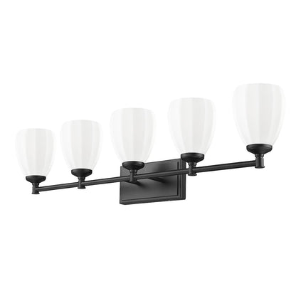 Z-Lite Oren 5 Light Vanity in Matte Black color, Steel frame