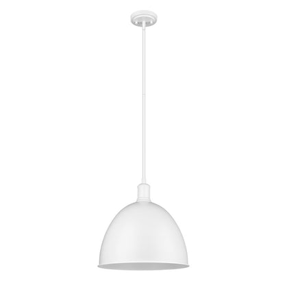 Z-Lite 1 Light Pendant