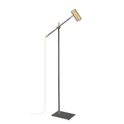 Z-Lite 1 Light Floor Lamp