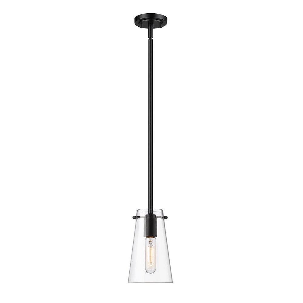Z-Lite 1 Light Pendant