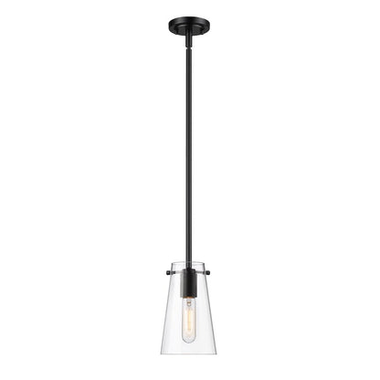 Z-Lite 1 Light Pendant