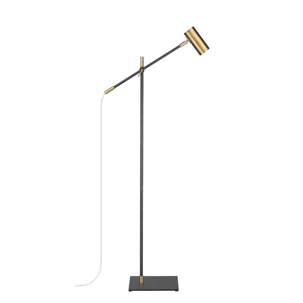 Z-Lite 1 Light Floor Lamp