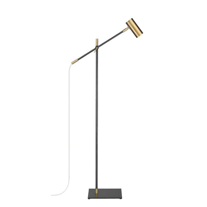 Z-Lite 1 Light Floor Lamp