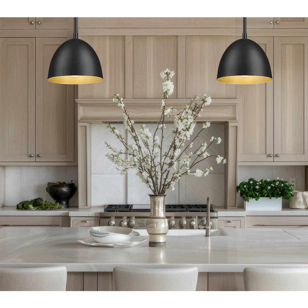 Z-Lite 1 Light Pendant, Matte Black