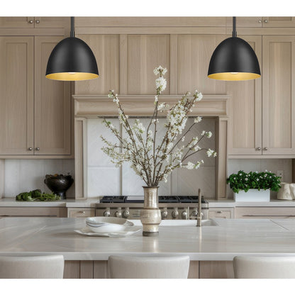 Z-Lite 1 Light Pendant, Matte Black