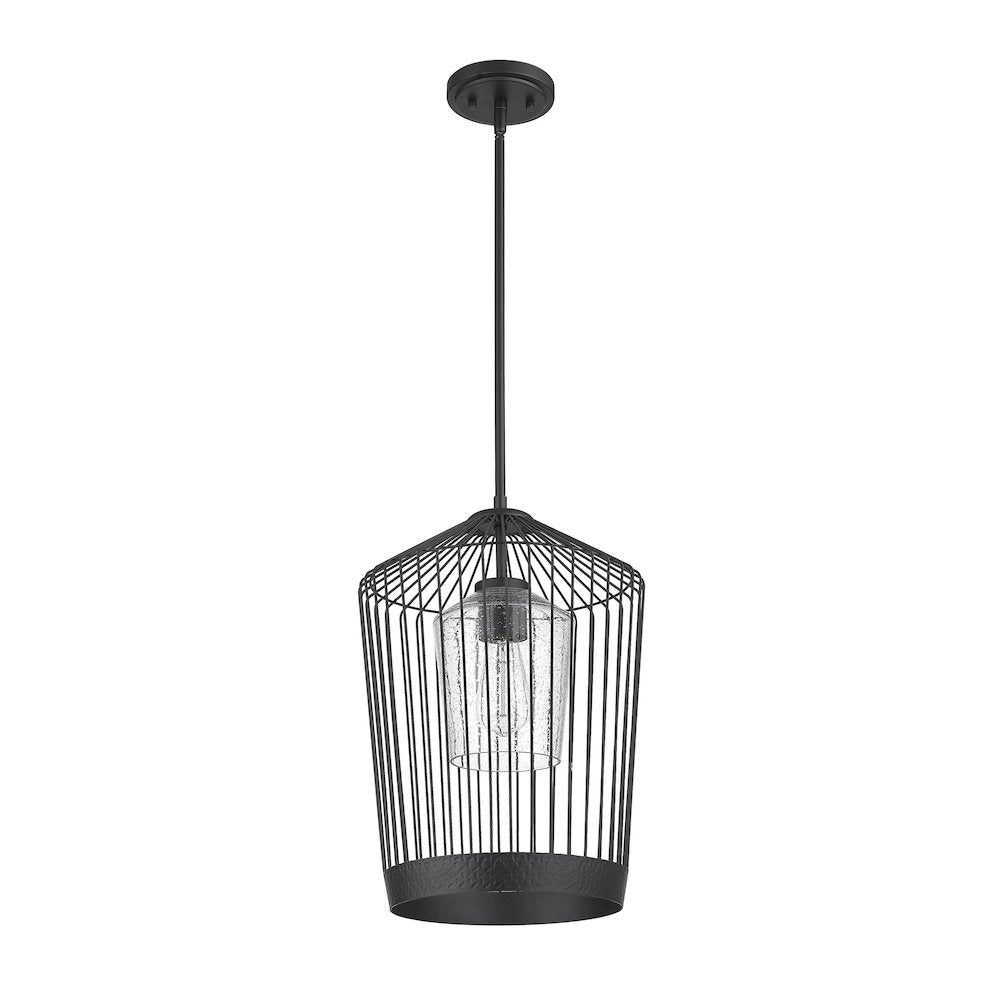 Z-Lite 1 Light Pendant