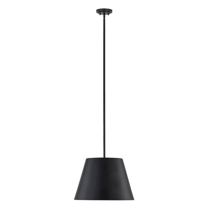 Z-Lite 1 Light Pendant