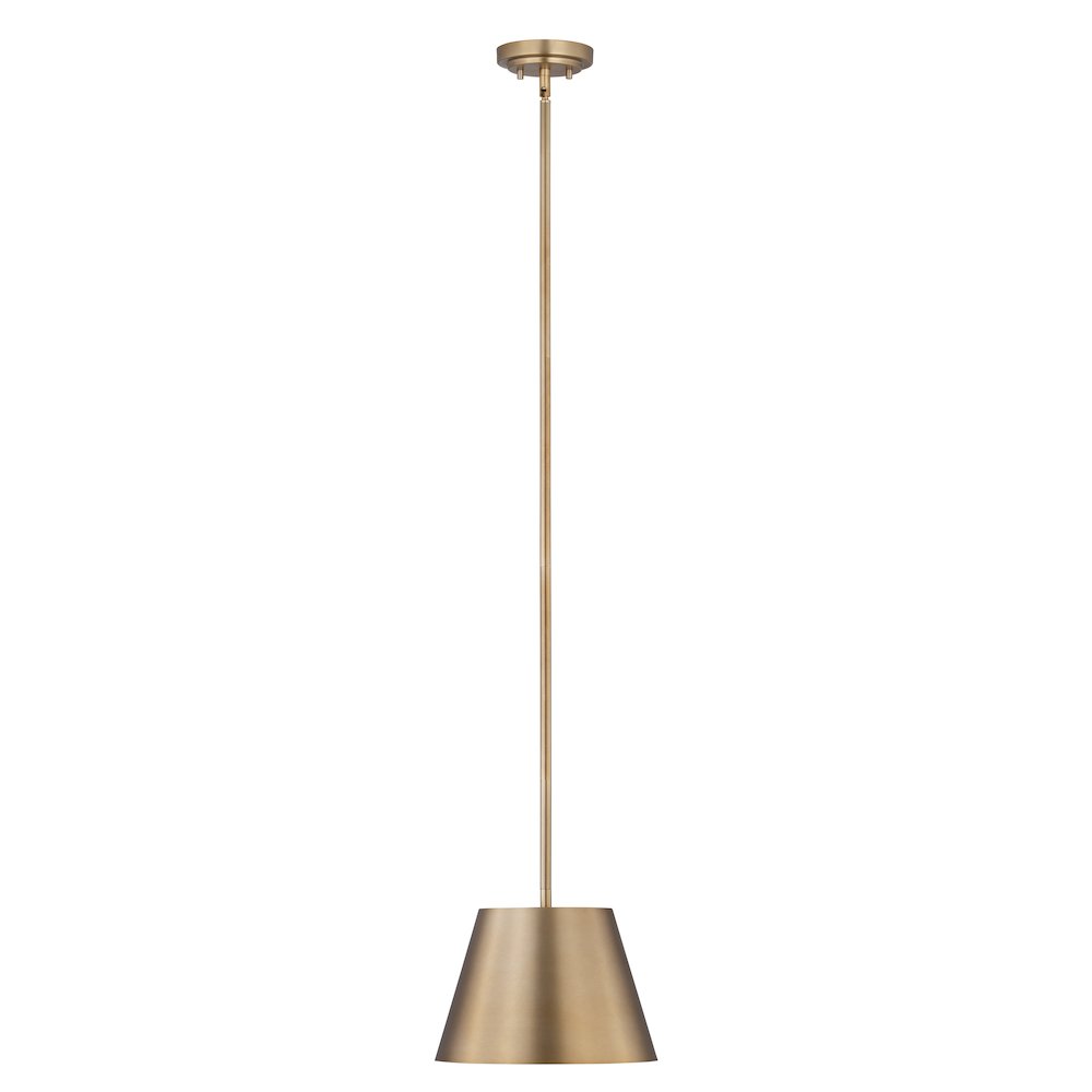 Z-Lite 1 Light Pendant
