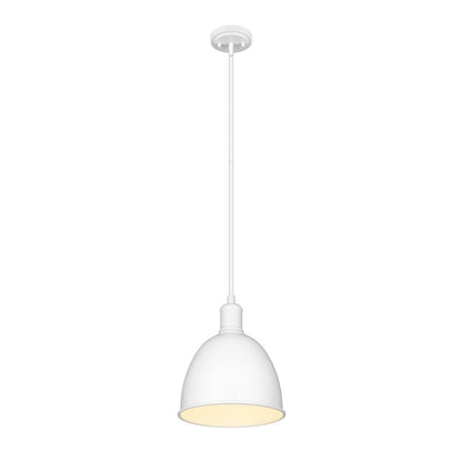 Z-Lite 1 Light Pendant