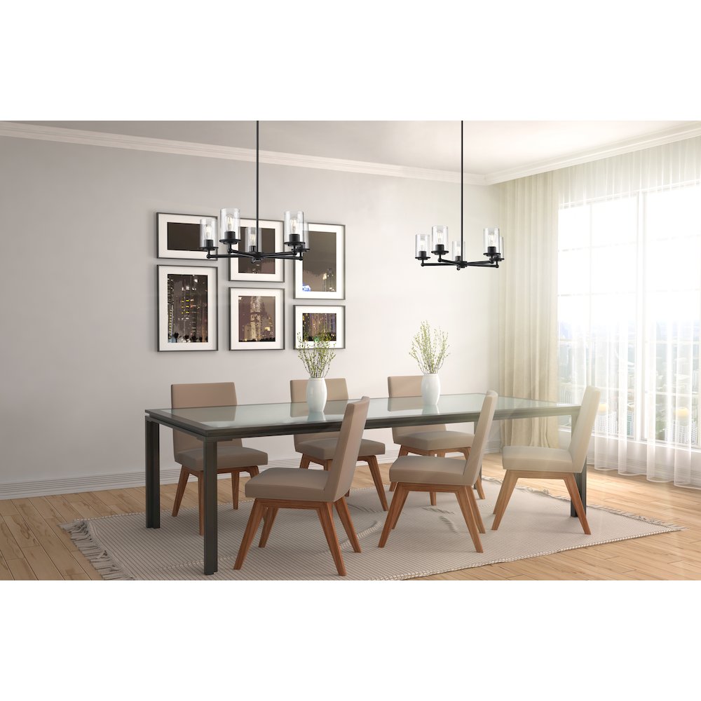 Z-Lite 5 Light Chandelier