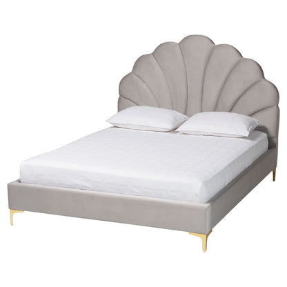 Glam and Luxe Light Grey Velvet Seashell-Headboard Queen Size Platform Bed