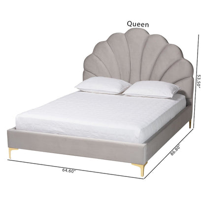 Glam and Luxe Light Grey Velvet Seashell-Headboard Queen Size Platform Bed