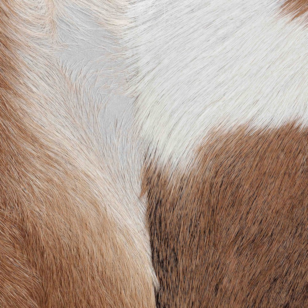 Scotlyn Genuine Goat Leather Footstool