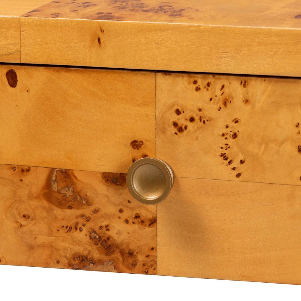 Netra Modern and  Natural Real Burl Wood Console Table