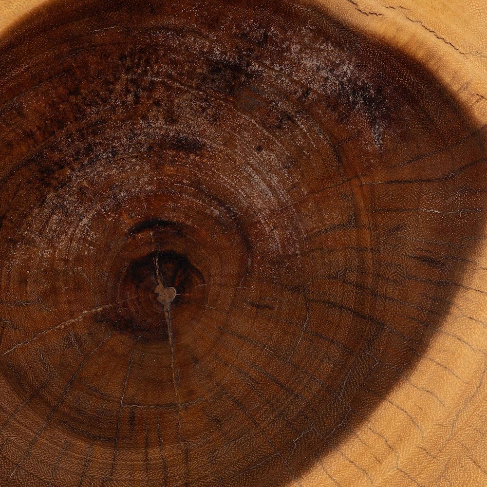 Alara Hand-carved Suar Wood Side Table