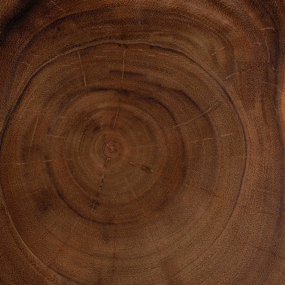 Rapha Hand-carved Suar Wood Side Table