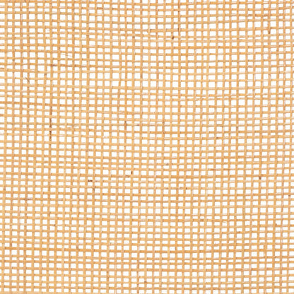 Agota Natural Rattan Standalone Headboard - Handwoven Wicker Panel