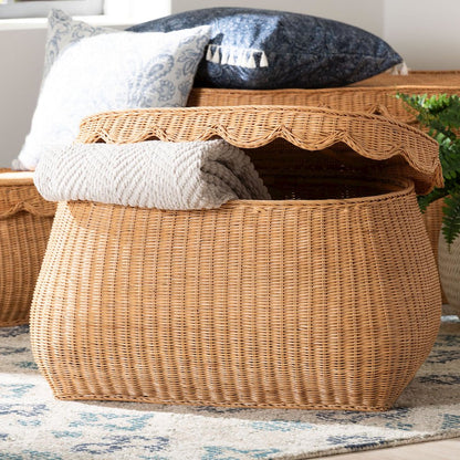 Ayleen Natural Rattan Basket - Handwoven Storage Box, Boho Coastal Decor, Medium
