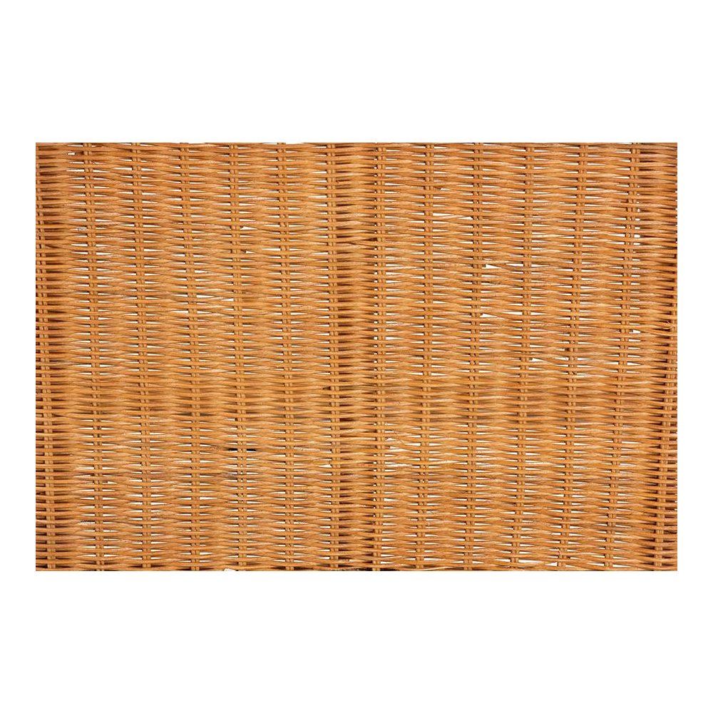 bali & pari Wakana Modern Bohemian Natural Brown Rattan Console Table