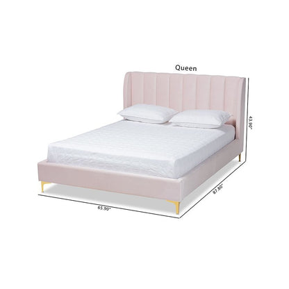 Queen Size Platform Bed with Gold-Tone Legs