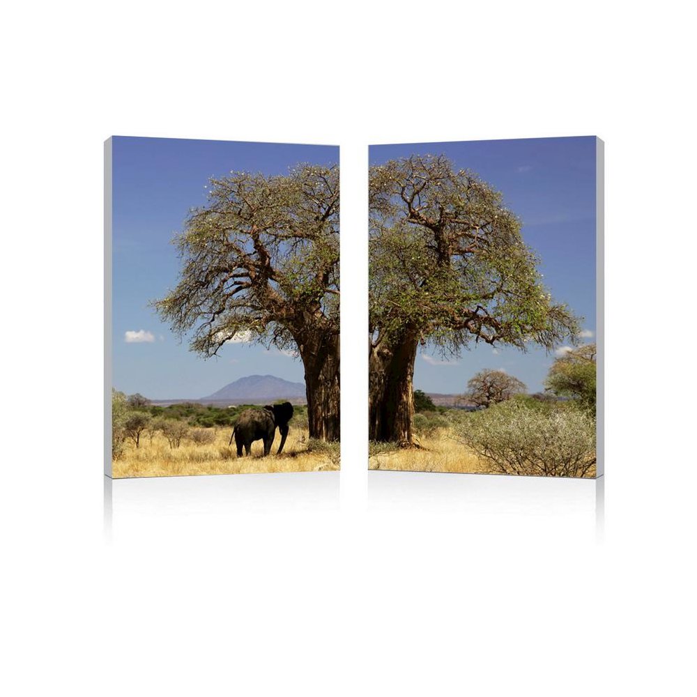 Tree of Life Mounted Photography Print Diptych Multi