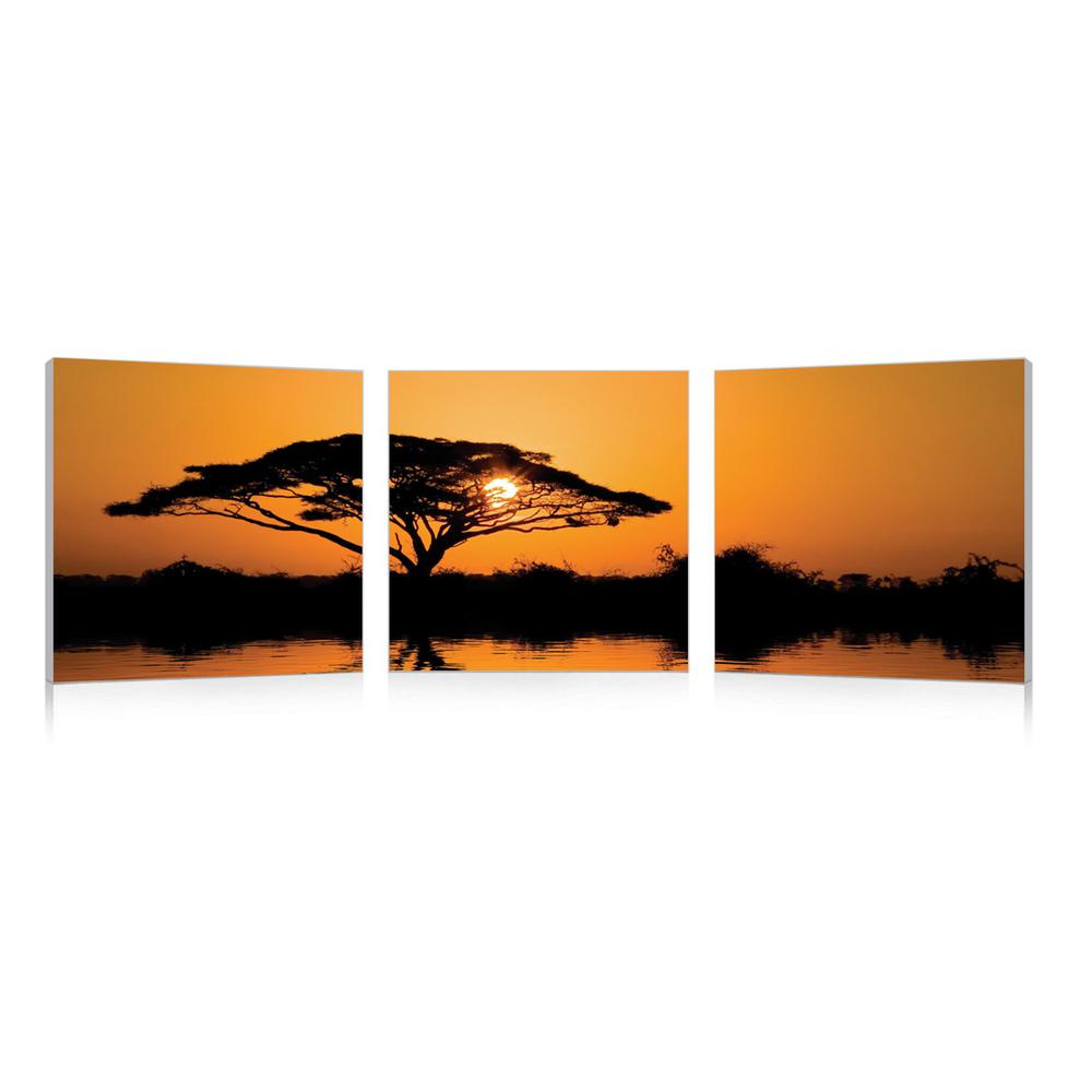 Savannah Sunset Mounted Photography Print Triptych Multi