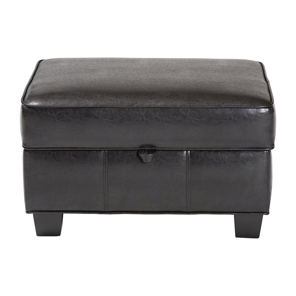 Baxton Studio Agustus Brown Leather Storage Ottoman