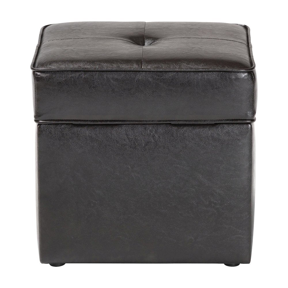 Baxton Studio Sydney Brown Modern Ottoman - Storage Ottoman