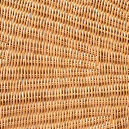 Elissa Elephant Head Natural Rattan Wall Decor