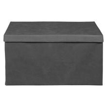 Niche Cubo Fabric Storage Trunk- Grey