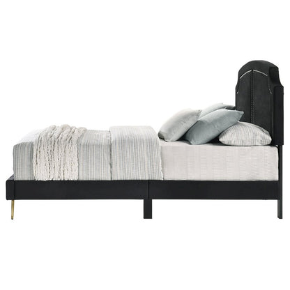 Zeena Eastern King Bed, Black Velvet