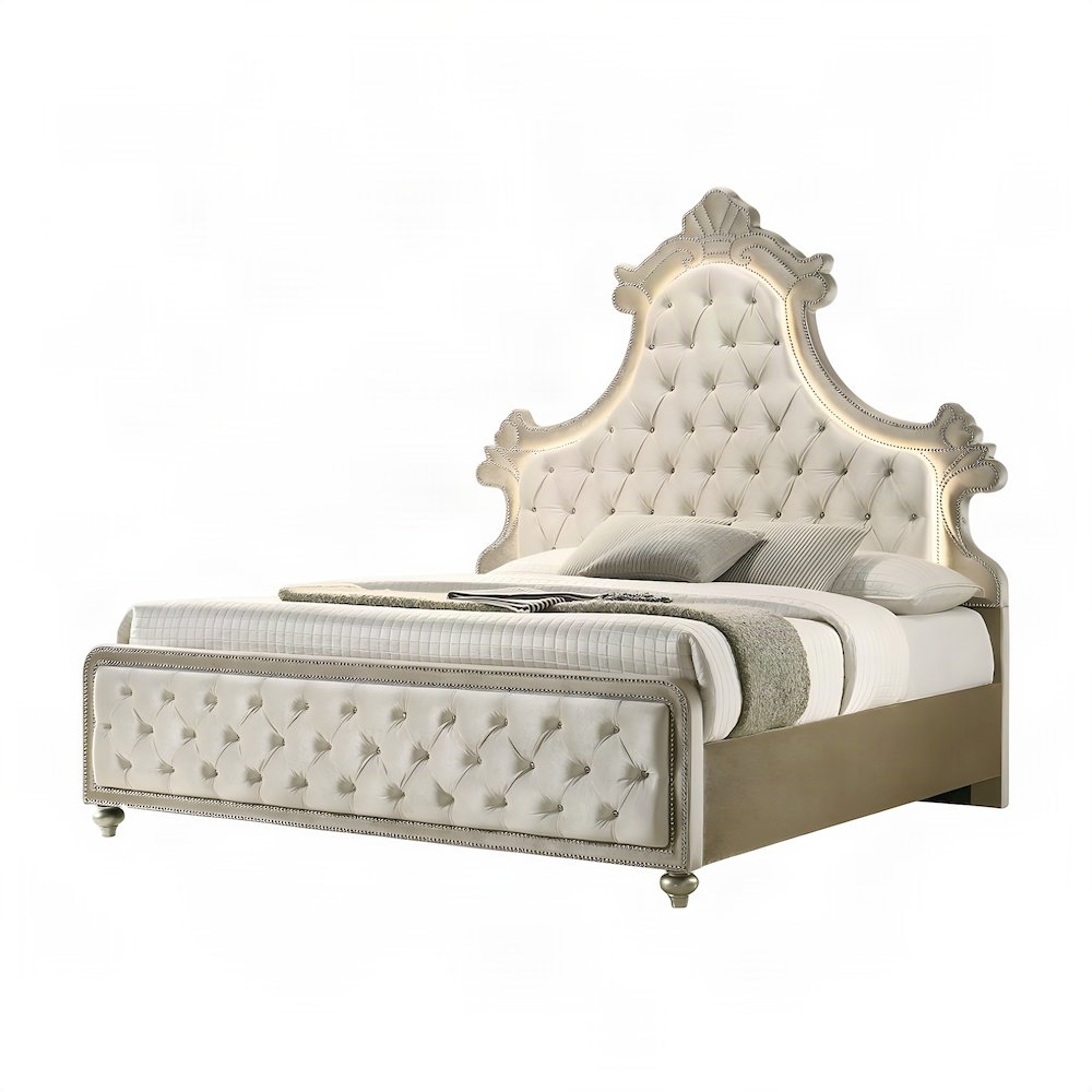 Velvet Upholstered Contemporary Platform Bed with, Beige Velvet, Queen