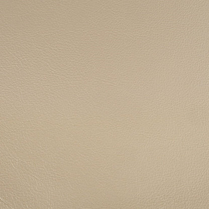 Danae Side Chair (Set-2), Leatherette, Champagne & Gold