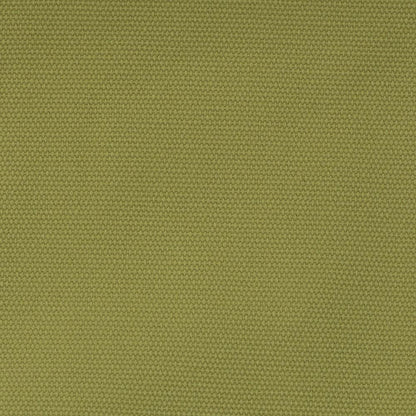 18" Director's Chair White Frame-Olive Canvas