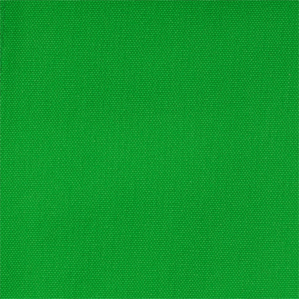 24" Director's Chair Black Frame-Green Canvas