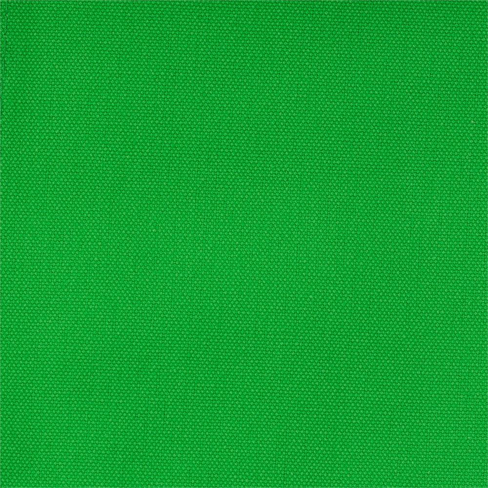 30" Director's Chair White Frame-Green Canvas