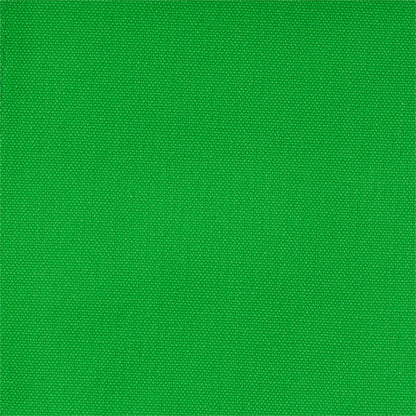 30" Director's Chair White Frame-Green Canvas