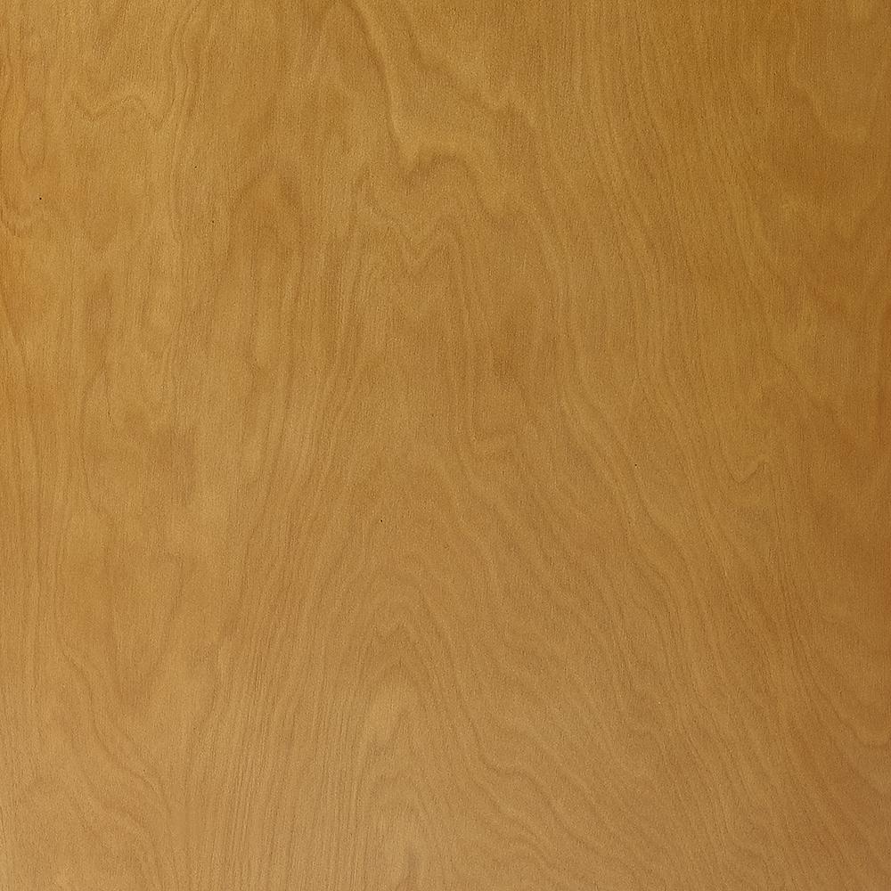 Everett Medium Record Player Cabinet With Vinyl Storage